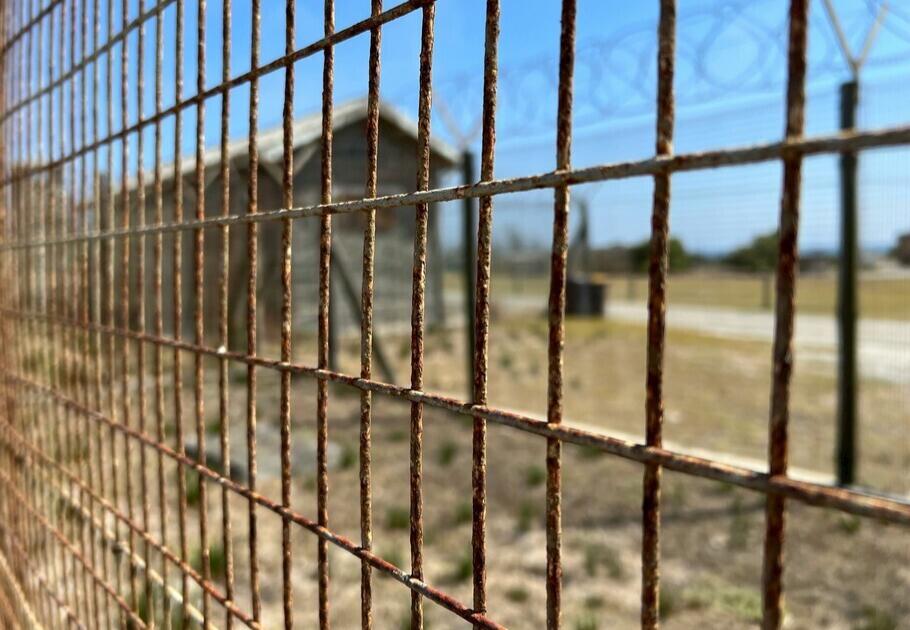 Plastic Fencing vs Wire Mesh: A Comparison for European Farms and Gardens
