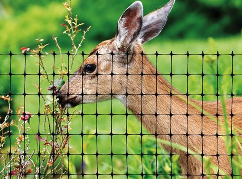 Poly Deer Fence