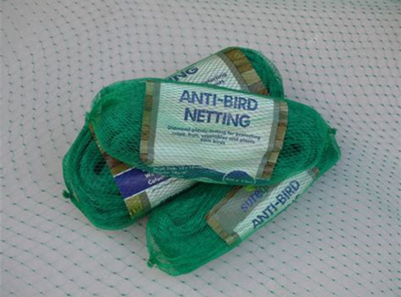 Anti Bird Net